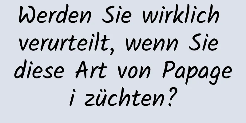 Werden Sie wirklich verurteilt, wenn Sie diese Art von Papagei züchten?