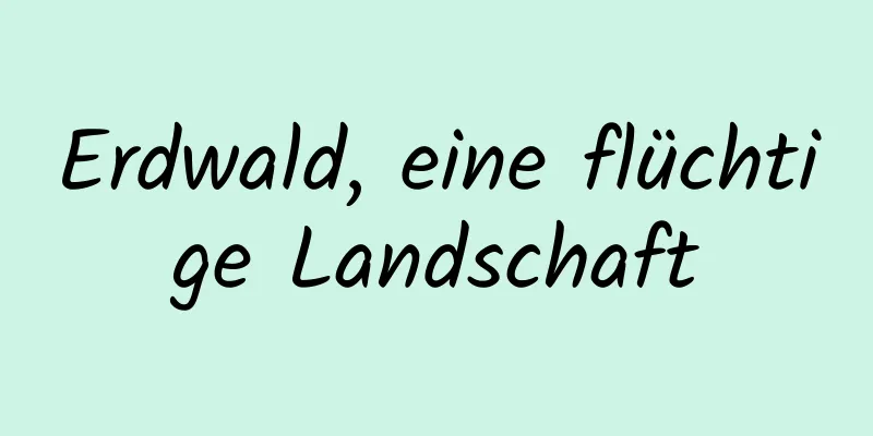 Erdwald, eine flüchtige Landschaft