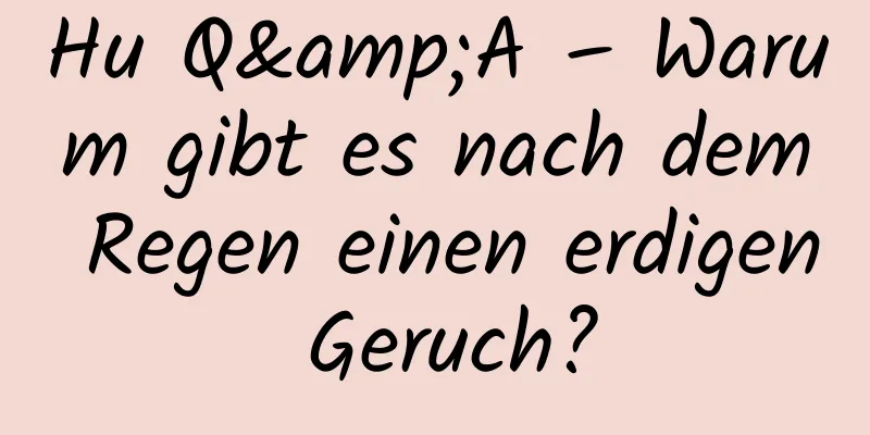 Hu Q&A – Warum gibt es nach dem Regen einen erdigen Geruch?