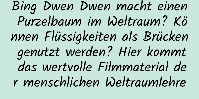 Bing Dwen Dwen macht einen Purzelbaum im Weltraum? Können Flüssigkeiten als Brücken genutzt werden? Hier kommt das wertvolle Filmmaterial der menschlichen Weltraumlehre