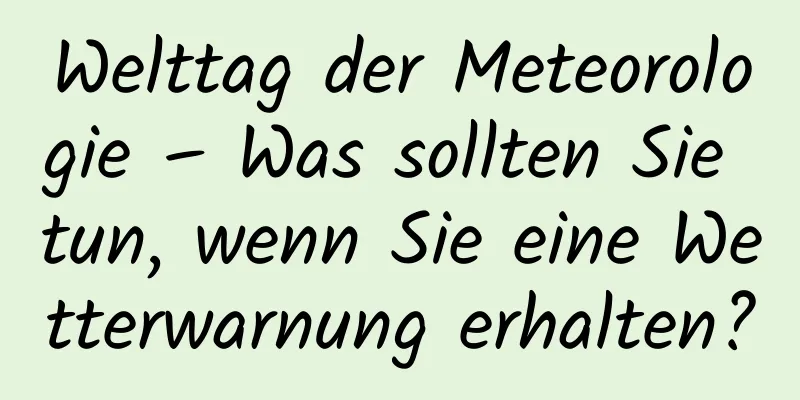 Welttag der Meteorologie – Was sollten Sie tun, wenn Sie eine Wetterwarnung erhalten?