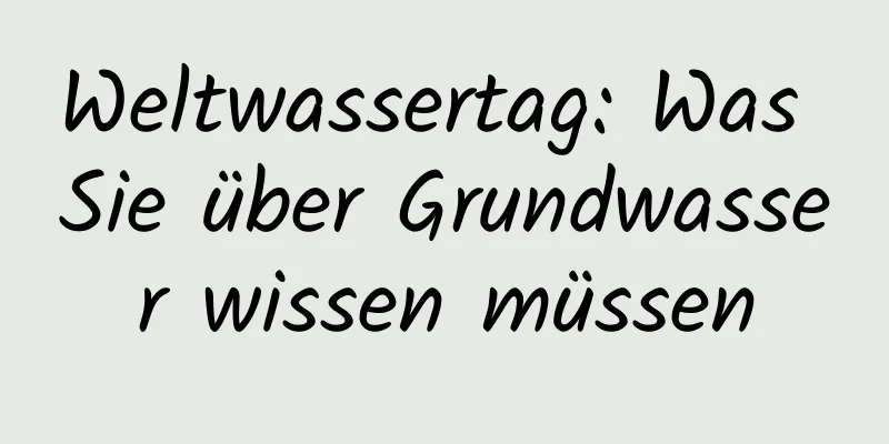 Weltwassertag: Was Sie über Grundwasser wissen müssen