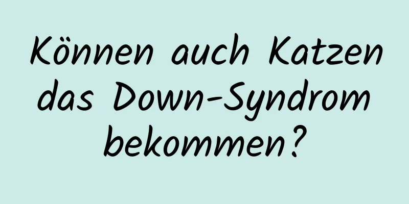 Können auch Katzen das Down-Syndrom bekommen?