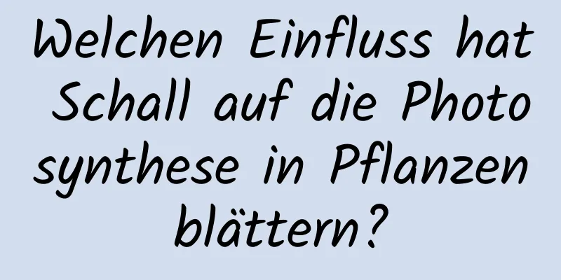 Welchen Einfluss hat Schall auf die Photosynthese in Pflanzenblättern?