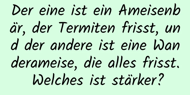 Der eine ist ein Ameisenbär, der Termiten frisst, und der andere ist eine Wanderameise, die alles frisst. Welches ist stärker?