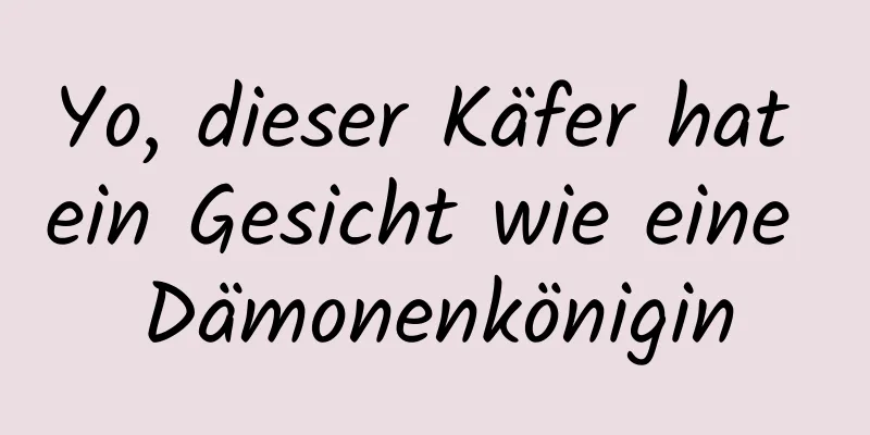 Yo, dieser Käfer hat ein Gesicht wie eine Dämonenkönigin