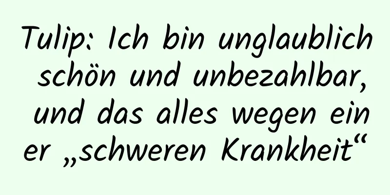 Tulip: Ich bin unglaublich schön und unbezahlbar, und das alles wegen einer „schweren Krankheit“