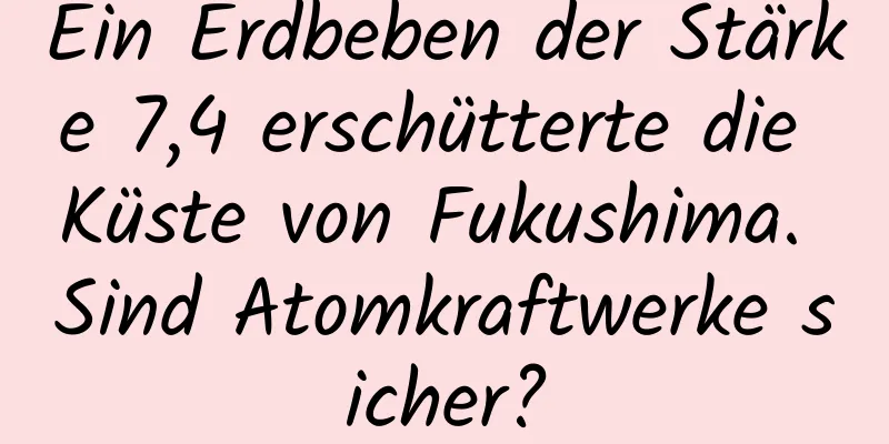 Ein Erdbeben der Stärke 7,4 erschütterte die Küste von Fukushima. Sind Atomkraftwerke sicher?