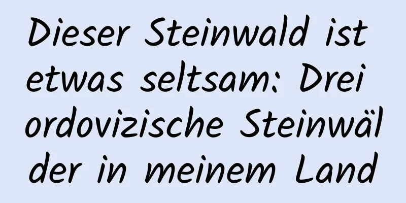 Dieser Steinwald ist etwas seltsam: Drei ordovizische Steinwälder in meinem Land