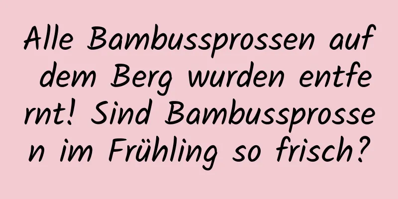Alle Bambussprossen auf dem Berg wurden entfernt! Sind Bambussprossen im Frühling so frisch?