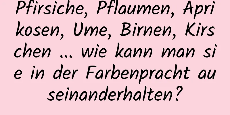 Pfirsiche, Pflaumen, Aprikosen, Ume, Birnen, Kirschen ... wie kann man sie in der Farbenpracht auseinanderhalten?