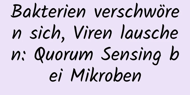 Bakterien verschwören sich, Viren lauschen: Quorum Sensing bei Mikroben
