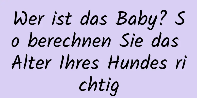 Wer ist das Baby? So berechnen Sie das Alter Ihres Hundes richtig
