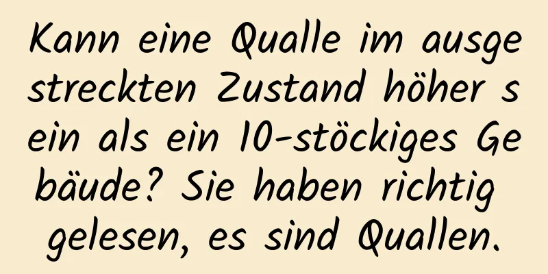 Kann eine Qualle im ausgestreckten Zustand höher sein als ein 10-stöckiges Gebäude? Sie haben richtig gelesen, es sind Quallen.