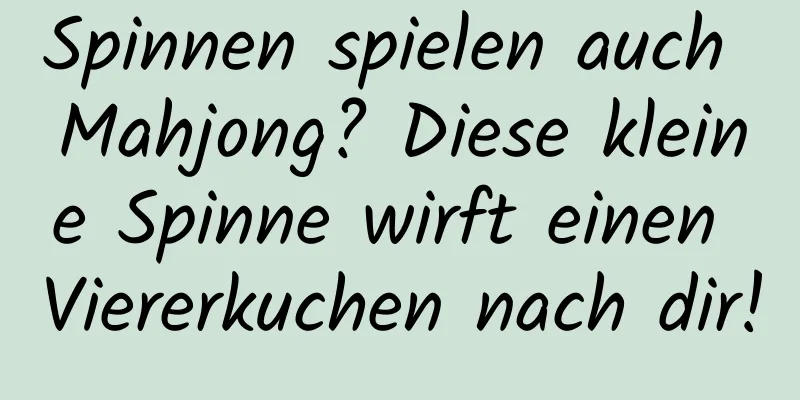 Spinnen spielen auch Mahjong? Diese kleine Spinne wirft einen Viererkuchen nach dir!