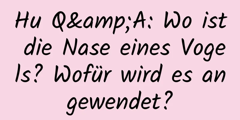 Hu Q&A: Wo ist die Nase eines Vogels? Wofür wird es angewendet?