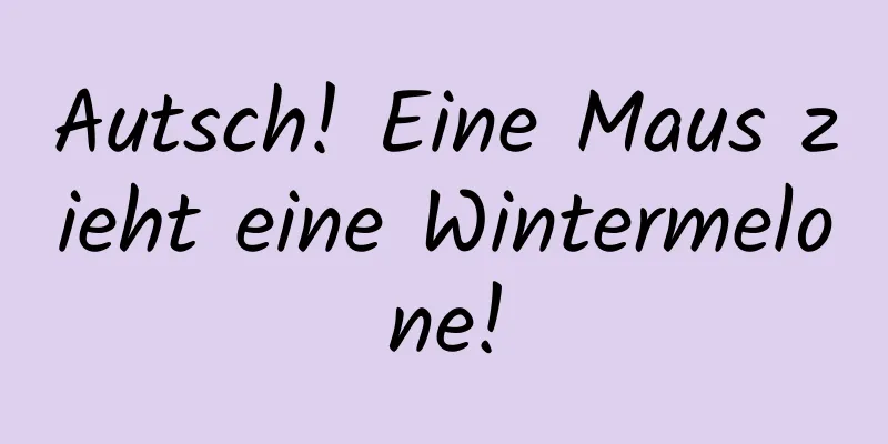 Autsch! Eine Maus zieht eine Wintermelone!