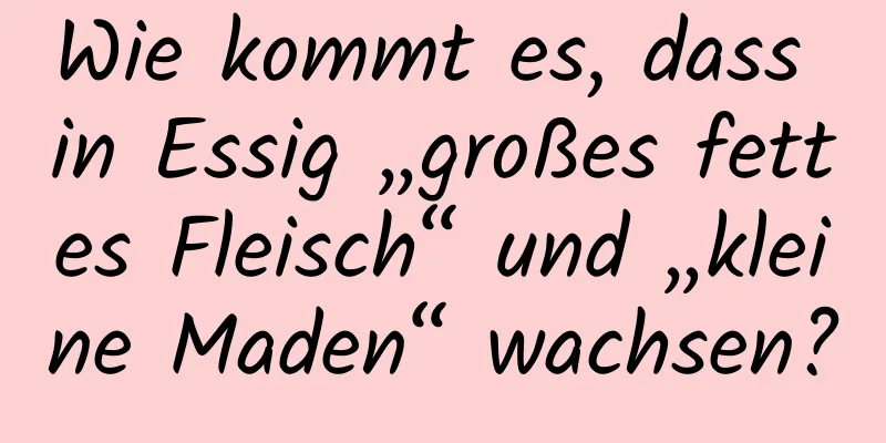Wie kommt es, dass in Essig „großes fettes Fleisch“ und „kleine Maden“ wachsen?