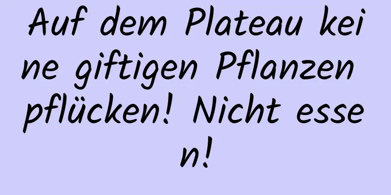 Auf dem Plateau keine giftigen Pflanzen pflücken! Nicht essen!