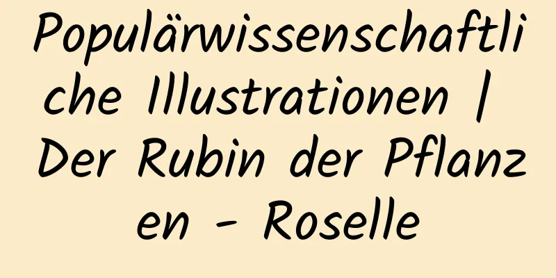 Populärwissenschaftliche Illustrationen | Der Rubin der Pflanzen - Roselle