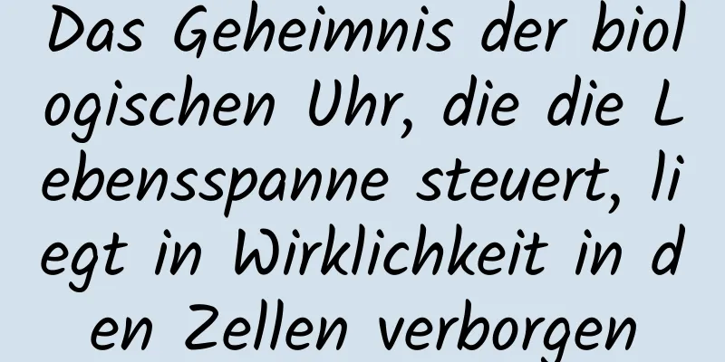 Das Geheimnis der biologischen Uhr, die die Lebensspanne steuert, liegt in Wirklichkeit in den Zellen verborgen
