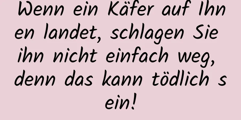 Wenn ein Käfer auf Ihnen landet, schlagen Sie ihn nicht einfach weg, denn das kann tödlich sein!