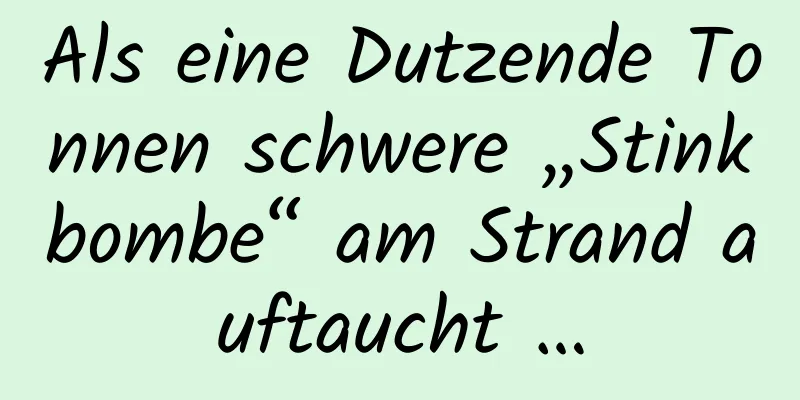 Als eine Dutzende Tonnen schwere „Stinkbombe“ am Strand auftaucht …