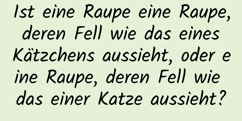 Ist eine Raupe eine Raupe, deren Fell wie das eines Kätzchens aussieht, oder eine Raupe, deren Fell wie das einer Katze aussieht?