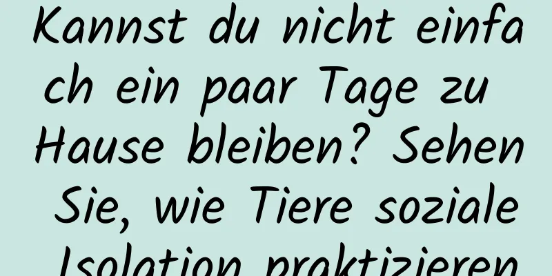 Kannst du nicht einfach ein paar Tage zu Hause bleiben? Sehen Sie, wie Tiere soziale Isolation praktizieren