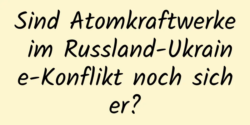 Sind Atomkraftwerke im Russland-Ukraine-Konflikt noch sicher?