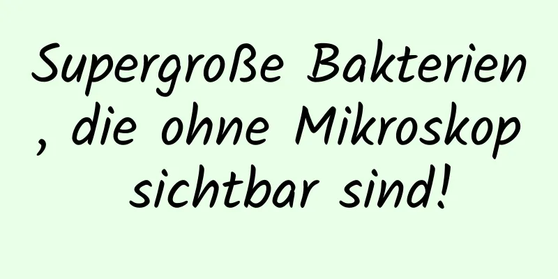 Supergroße Bakterien, die ohne Mikroskop sichtbar sind!