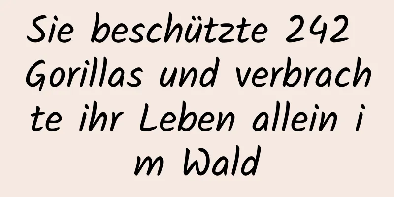 Sie beschützte 242 Gorillas und verbrachte ihr Leben allein im Wald