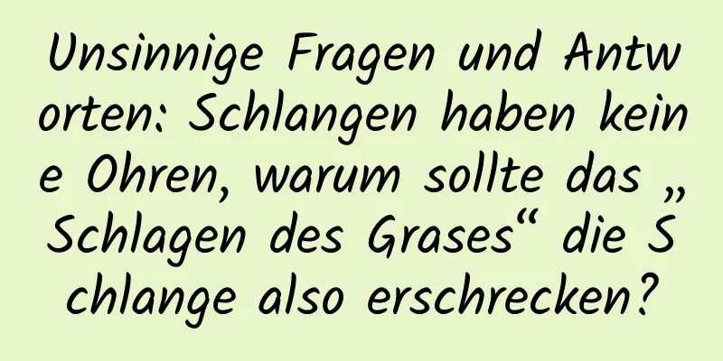 Unsinnige Fragen und Antworten: Schlangen haben keine Ohren, warum sollte das „Schlagen des Grases“ die Schlange also erschrecken?