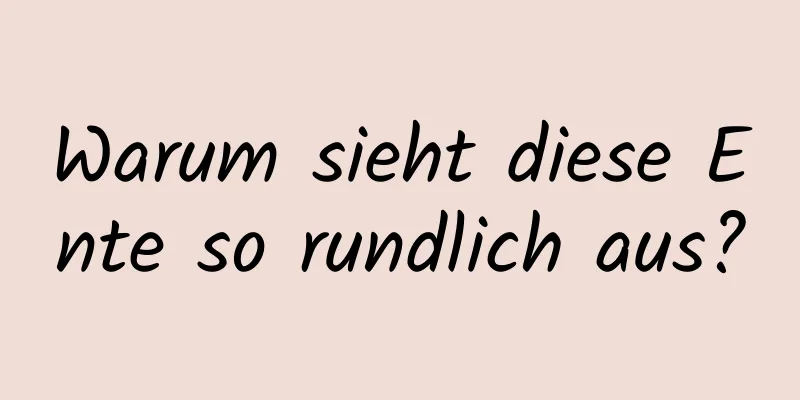 Warum sieht diese Ente so rundlich aus?