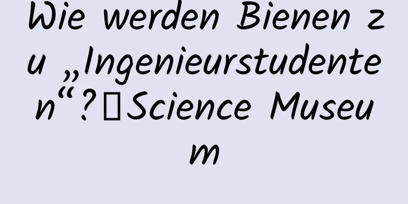 Wie werden Bienen zu „Ingenieurstudenten“?丨Science Museum
