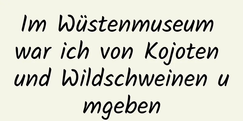 Im Wüstenmuseum war ich von Kojoten und Wildschweinen umgeben