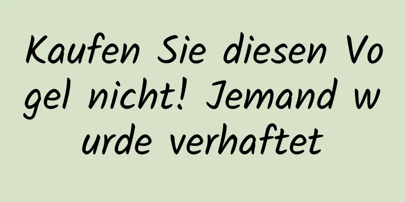 Kaufen Sie diesen Vogel nicht! Jemand wurde verhaftet