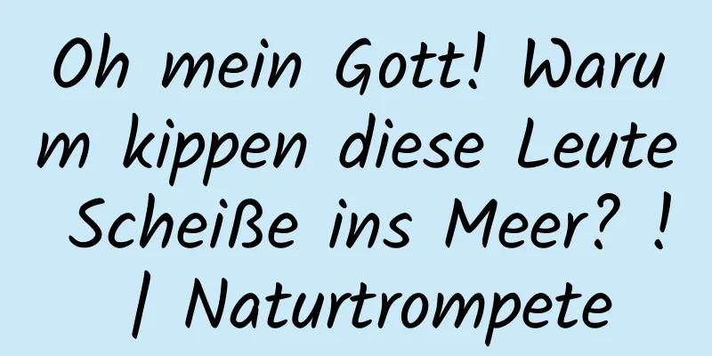 Oh mein Gott! Warum kippen diese Leute Scheiße ins Meer? ! | Naturtrompete