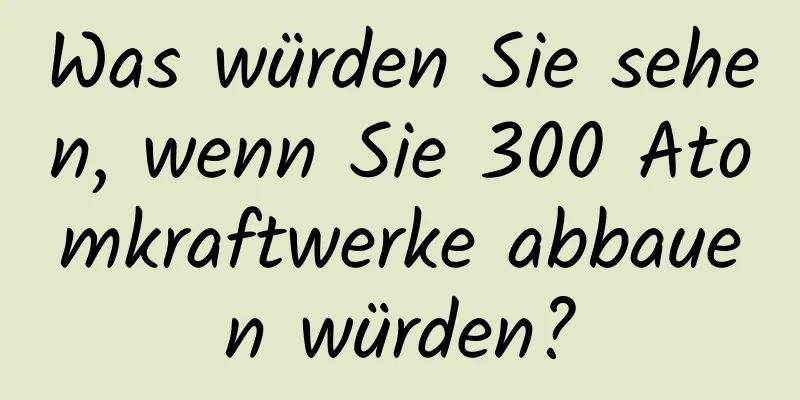 Was würden Sie sehen, wenn Sie 300 Atomkraftwerke abbauen würden?