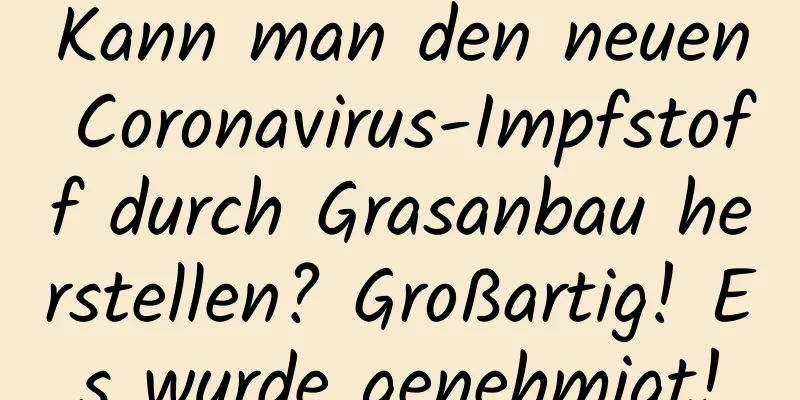 Kann man den neuen Coronavirus-Impfstoff durch Grasanbau herstellen? Großartig! Es wurde genehmigt!