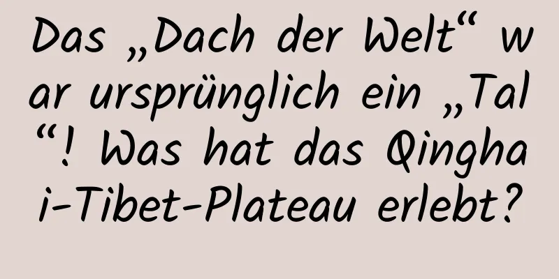 Das „Dach der Welt“ war ursprünglich ein „Tal“! Was hat das Qinghai-Tibet-Plateau erlebt?