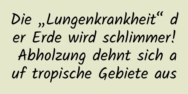 Die „Lungenkrankheit“ der Erde wird schlimmer! Abholzung dehnt sich auf tropische Gebiete aus
