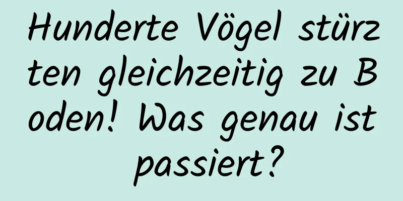 Hunderte Vögel stürzten gleichzeitig zu Boden! Was genau ist passiert?