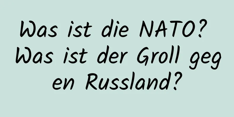 Was ist die NATO? Was ist der Groll gegen Russland?