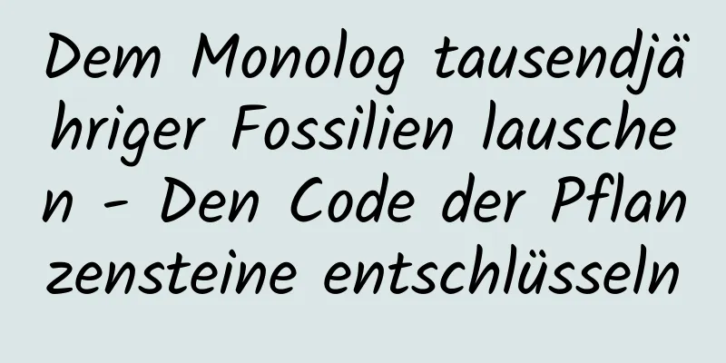 Dem Monolog tausendjähriger Fossilien lauschen - Den Code der Pflanzensteine ​​entschlüsseln