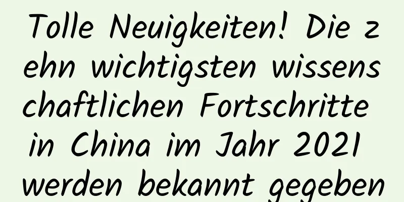 Tolle Neuigkeiten! Die zehn wichtigsten wissenschaftlichen Fortschritte in China im Jahr 2021 werden bekannt gegeben