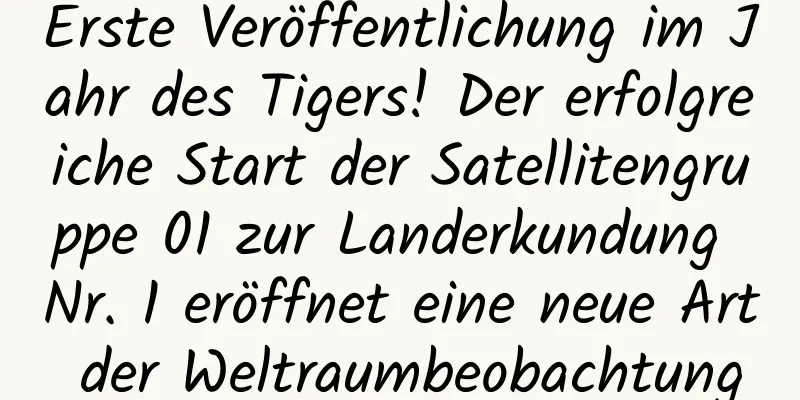 Erste Veröffentlichung im Jahr des Tigers! Der erfolgreiche Start der Satellitengruppe 01 zur Landerkundung Nr. 1 eröffnet eine neue Art der Weltraumbeobachtung