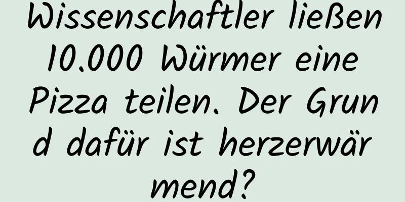 Wissenschaftler ließen 10.000 Würmer eine Pizza teilen. Der Grund dafür ist herzerwärmend?