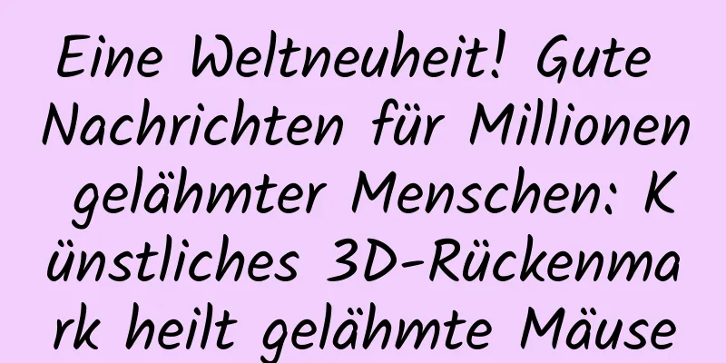 Eine Weltneuheit! Gute Nachrichten für Millionen gelähmter Menschen: Künstliches 3D-Rückenmark heilt gelähmte Mäuse
