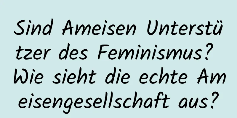 Sind Ameisen Unterstützer des Feminismus? Wie sieht die echte Ameisengesellschaft aus?